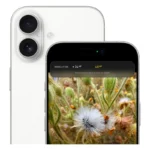 گوشی موبایل اپل مدل iPhone 17 CH دو سیم کارت ظرفیت 256 گیگابایت و رم 8 گیگابایت - نات اکتیو - تصویر 3